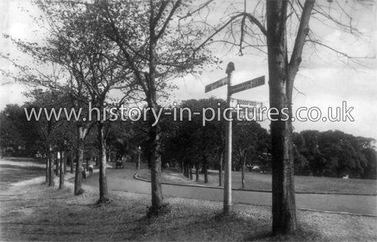 Forest Avenue, Chingford, London, London. c.1935.